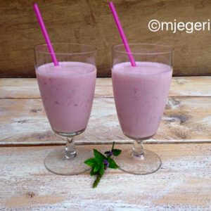 recept aarbeienmilkshake gezond afvallen gewichtsconsulent Deurne